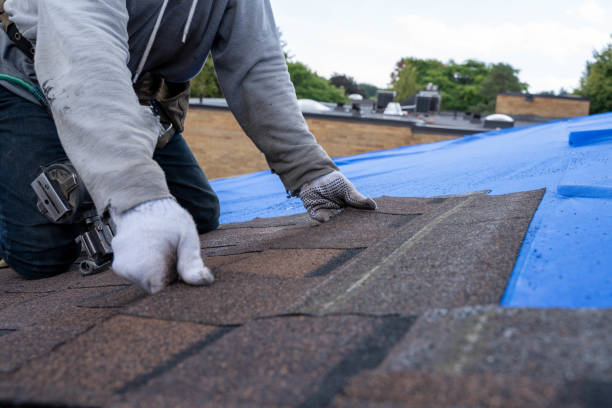 Quick and Trustworthy Emergency Roof Repair Services in Ferry Pass, FL
