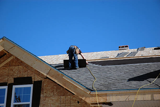 Roof Gutter Cleaning in Ferry Pass, FL