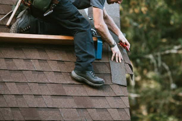 Best Roof Gutter Cleaning  in Ferry Pass, FL